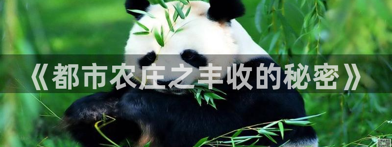 天顺娱乐专问秦奋83334j