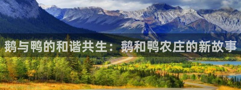 天顺娱乐旁943994