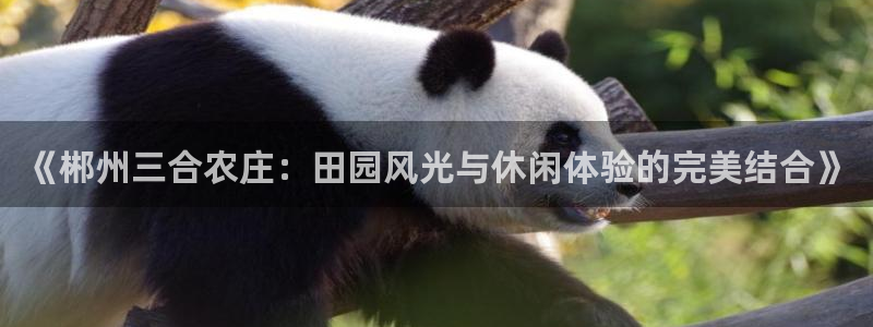 天顺娱乐棋牌怎么样知乎