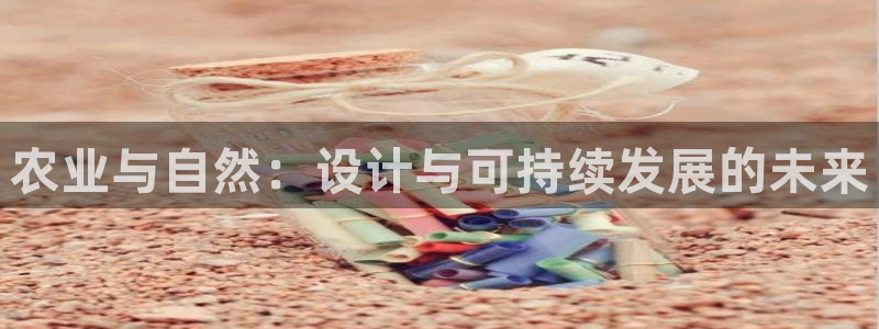 天顺娱乐主管经理是谁