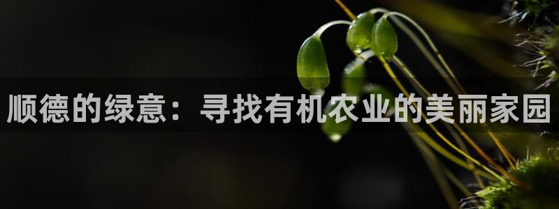 天顺娱乐耂金手指花总1
