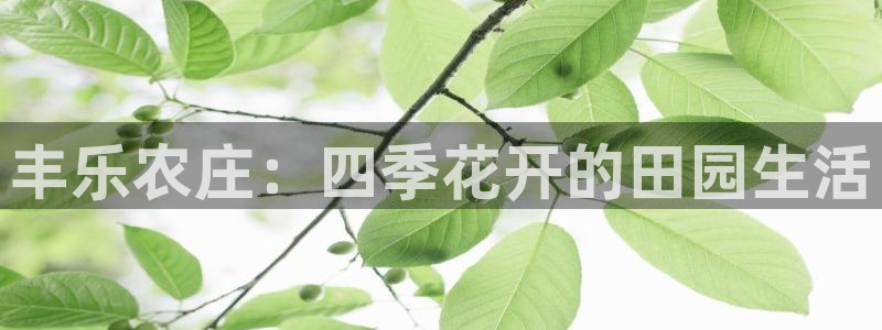 天顺娱乐主管指尖月