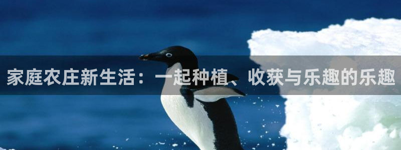 天顺娱乐兄文秦奋83334j