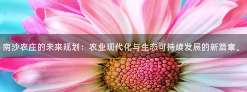 天顺娱乐陶18 888