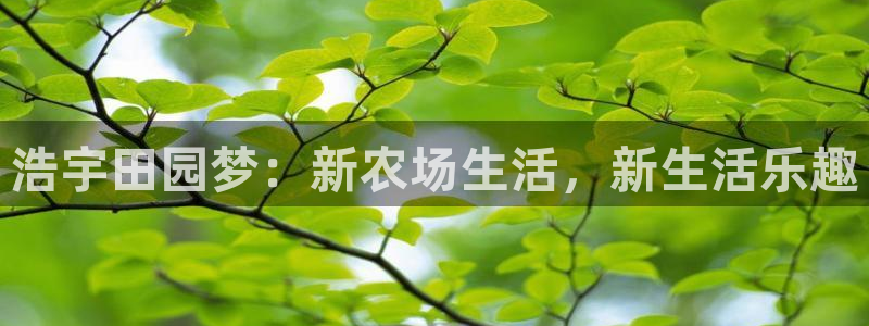 天顺娱乐肆943994