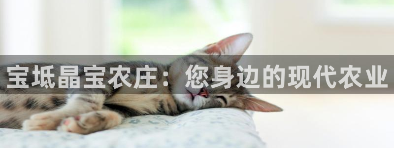 天顺娱乐平台