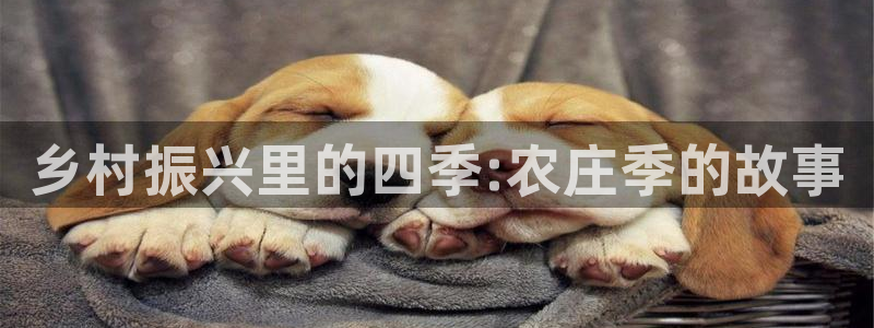 天顺娱乐谌 66 6