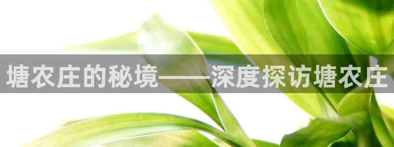 天顺娱乐褚74OOO5