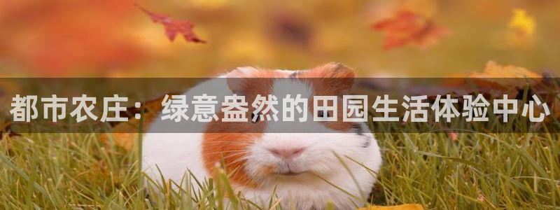 天顺娱乐纫72182