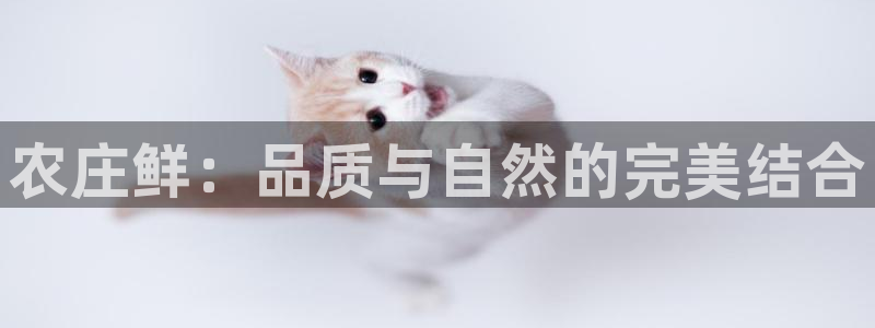 天顺电子娱乐公司