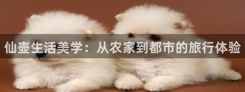 天顺娱乐 53339总u管