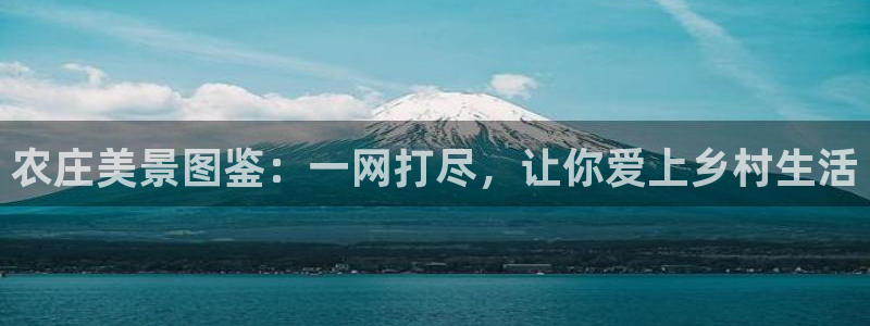 天顺娱乐大量 62562k