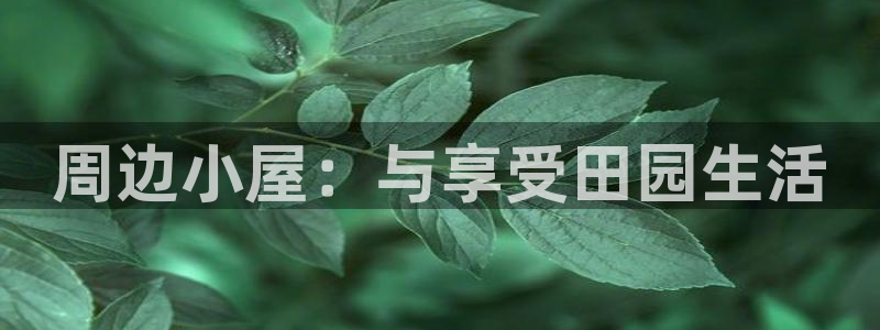 天顺娱乐心野29999