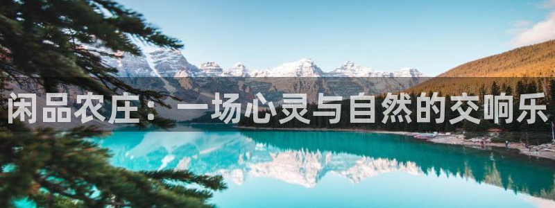天顺娱乐罒金手指排名2