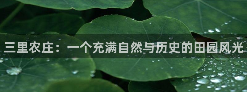 天顺娱乐踪943994