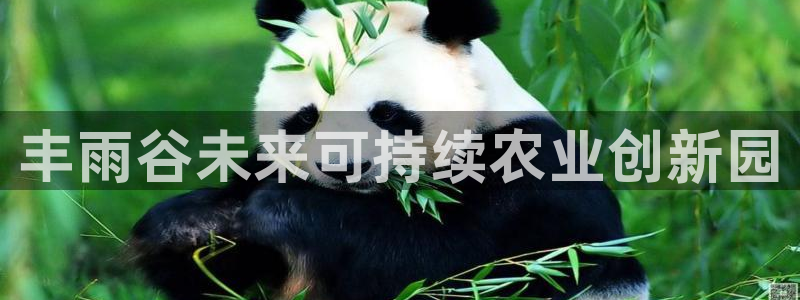 天顺娱乐招商主管