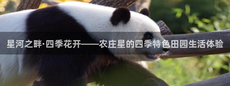 天顺娱乐女还pg22650