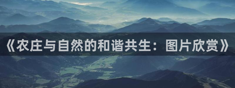 娱乐主播聊天顺序图