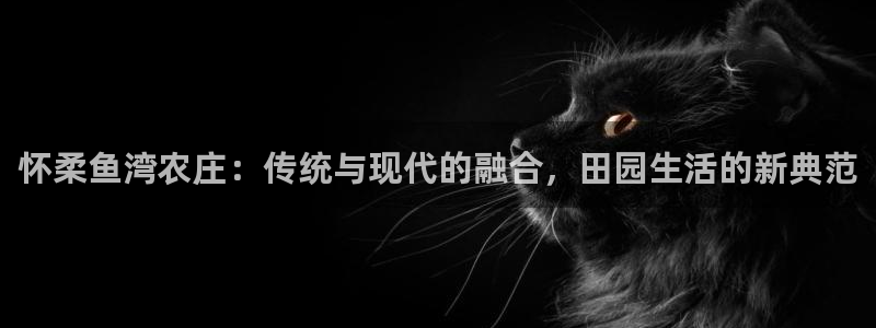 天顺娱乐主管着