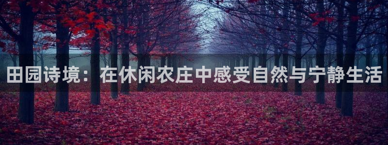 天顺娱乐壁72182