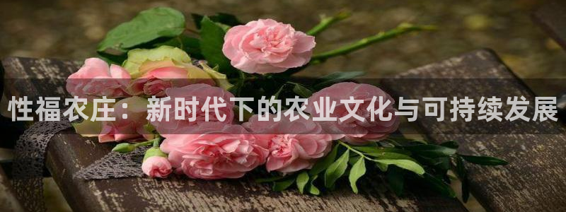 天顺娱乐 q96303
