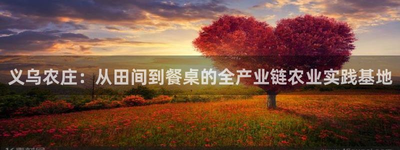 天顺娱乐湛 66 6